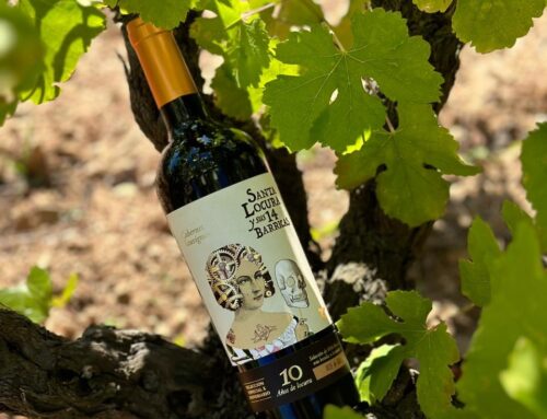 La Influencia del Vino y sus Preferencias de Consumo en España